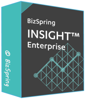 인사이트 솔루션(INSIGHT)